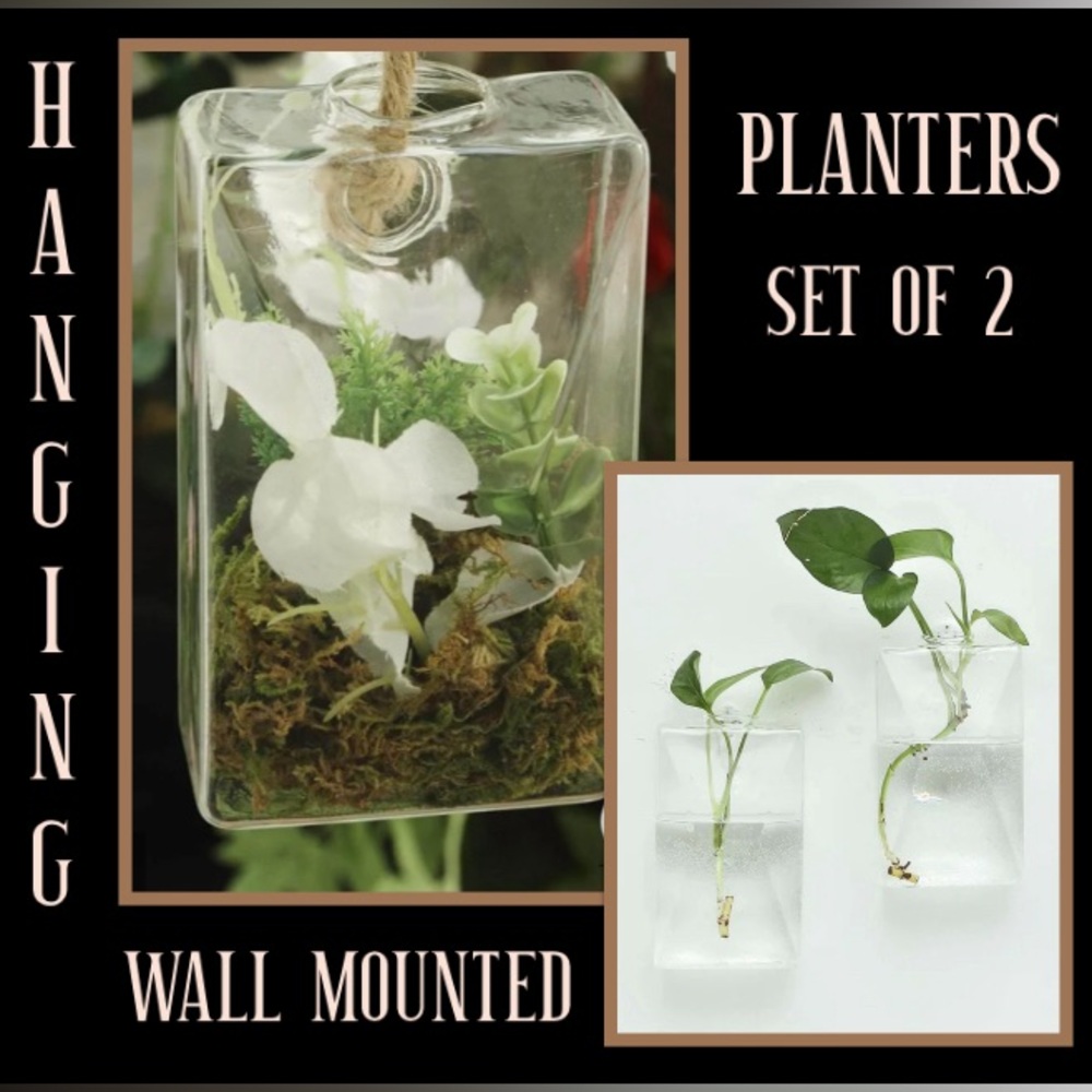 Glass Planter/Vases Set of 2 - Picture 1 of 4